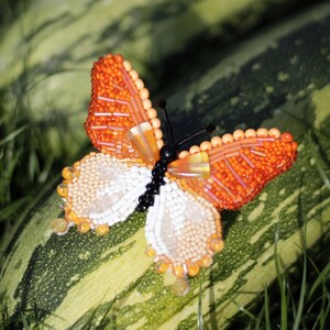 Broche de borboleta com miçangas