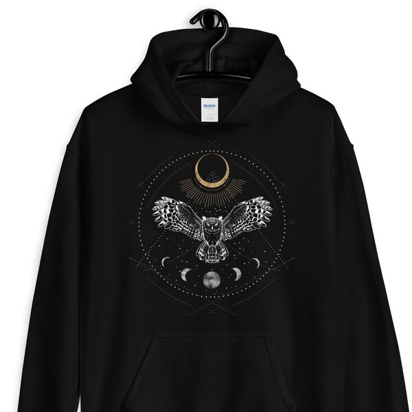 Owl Hoodie, Moon Phases Pullover, Celestial Hoodie, Owl Sweatshirt