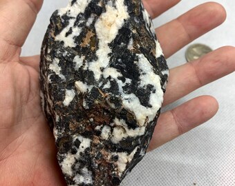 Rough Zebra Jasper Crystal with Polished Point Large Free-Standing Zebra Jasper Tower Brown Zebra Jasper Point