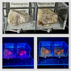 May include: Two clear plastic display boxes each containing a large, gray, rough-textured rock labeled "Hackmanite" and "Koksha Valley, Afghanistan". The boxes are on a black surface. Two more clear plastic display boxes each containing a large, gray, rough-textured rock labeled "Fluorescent Hackmanite" and "Koksha Valley, Afghanistan". The boxes are on a black surface. The rocks are glowing a bright pink under a UV light.