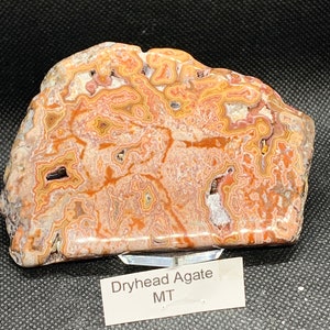 Dryhead Agate Display Slab from Montana American Seller Fast Shipping
