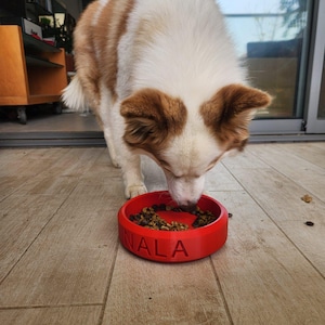 Custom 3D printed pet bowl featuring your dog or cat&#39;s name