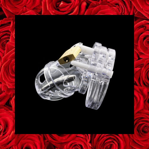 Plastic Male Chastity Device Small/Standard Cage for Men Classical Lock  Belt C42