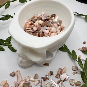 May include: A white ceramic skull bowl filled with small, iridescent pink and white seashells. The bowl is sitting on a white surface with more seashells scattered around it.
