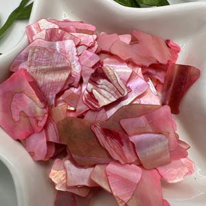 May include: A white, star-shaped bowl filled with iridescent pink shell pieces. The shell pieces have a pearlescent sheen and vary in shades of pink and brown. Green leaves are visible in the background.