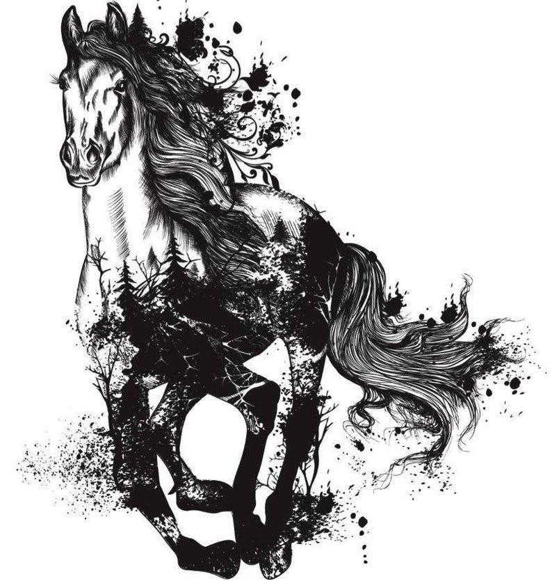 Furniture Transfers Rub on Transfer Majestic Horse Etsy