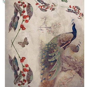 Paper Designs - Decoupage Paper - Animals - DIY - Crafts -  Peacock - PD Animals 0098 A3 or A4