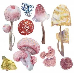 Rub on Transfer | Furniture Transfer | Magic Mushrooms | Hokus Pokus | Petite Decor Transfers