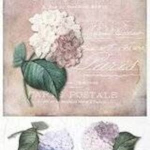 Decoupage Paper |Rice Paper | ITD Collection | Hydrangea Postale A4 | R0984