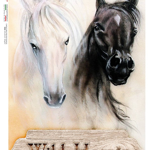 Horses Decoupage Paper | Paper Designs | Animals 0166 Horse | Wild Horses A4 or A3