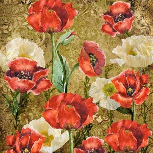 Decoupage Queen Decoupage Paper -  Poppies A3 or A4
