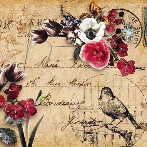 Decoupage Queen Decoupage Paper Stained Lace A3 or A4 Etsy