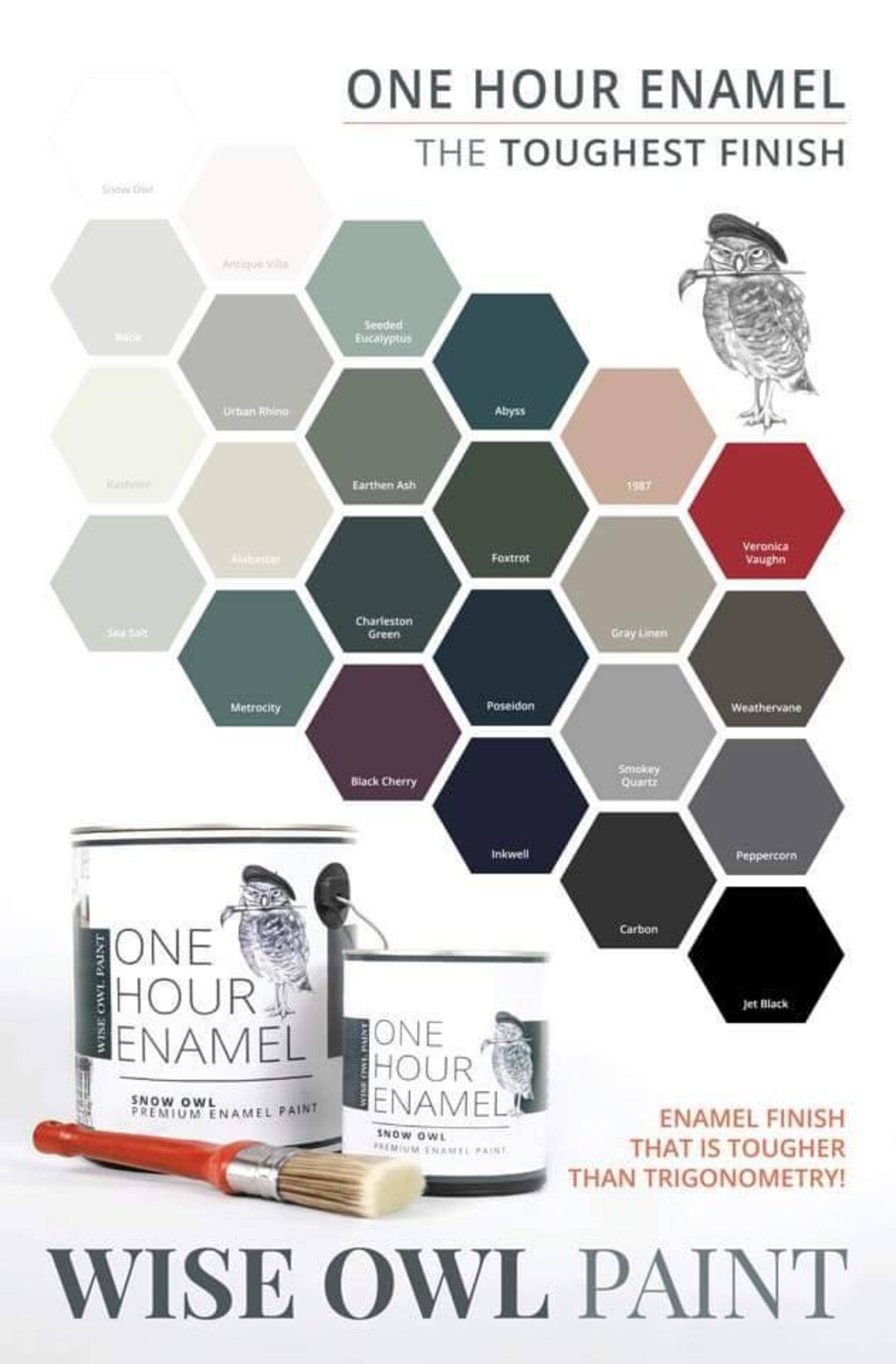 Wise Owl Paint One Hour Enamel Fast Shipping Furniture and Paint Etsy