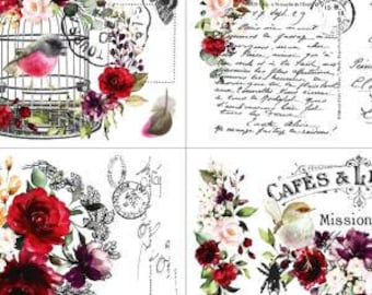 Furniture Transfers | Rub on Transfer | Cage a' Oiseaux | Hokus Pokus Image Transfer