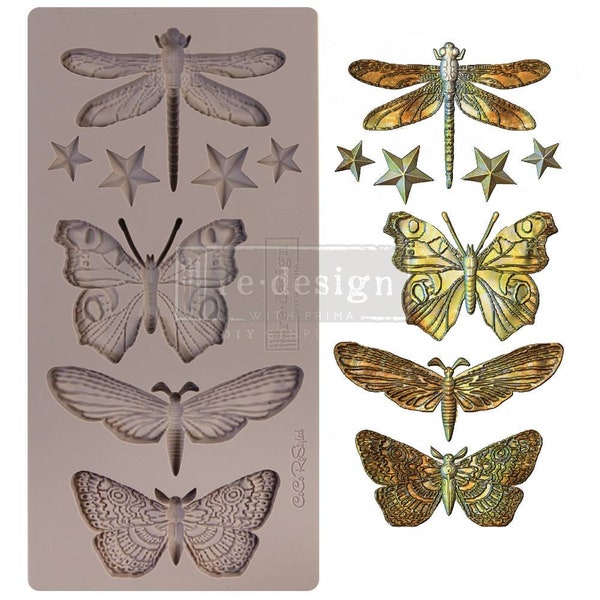 Redesign Decor Moulds - Cece Insecta & Stars - 1pc, 5"x10" 8MM Thickness