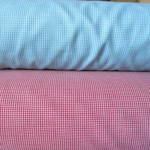 May include: Two pieces of fabric, one light blue and one red, with a gingham pattern.