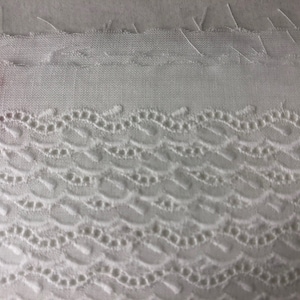 Swiss Embroidery IN White