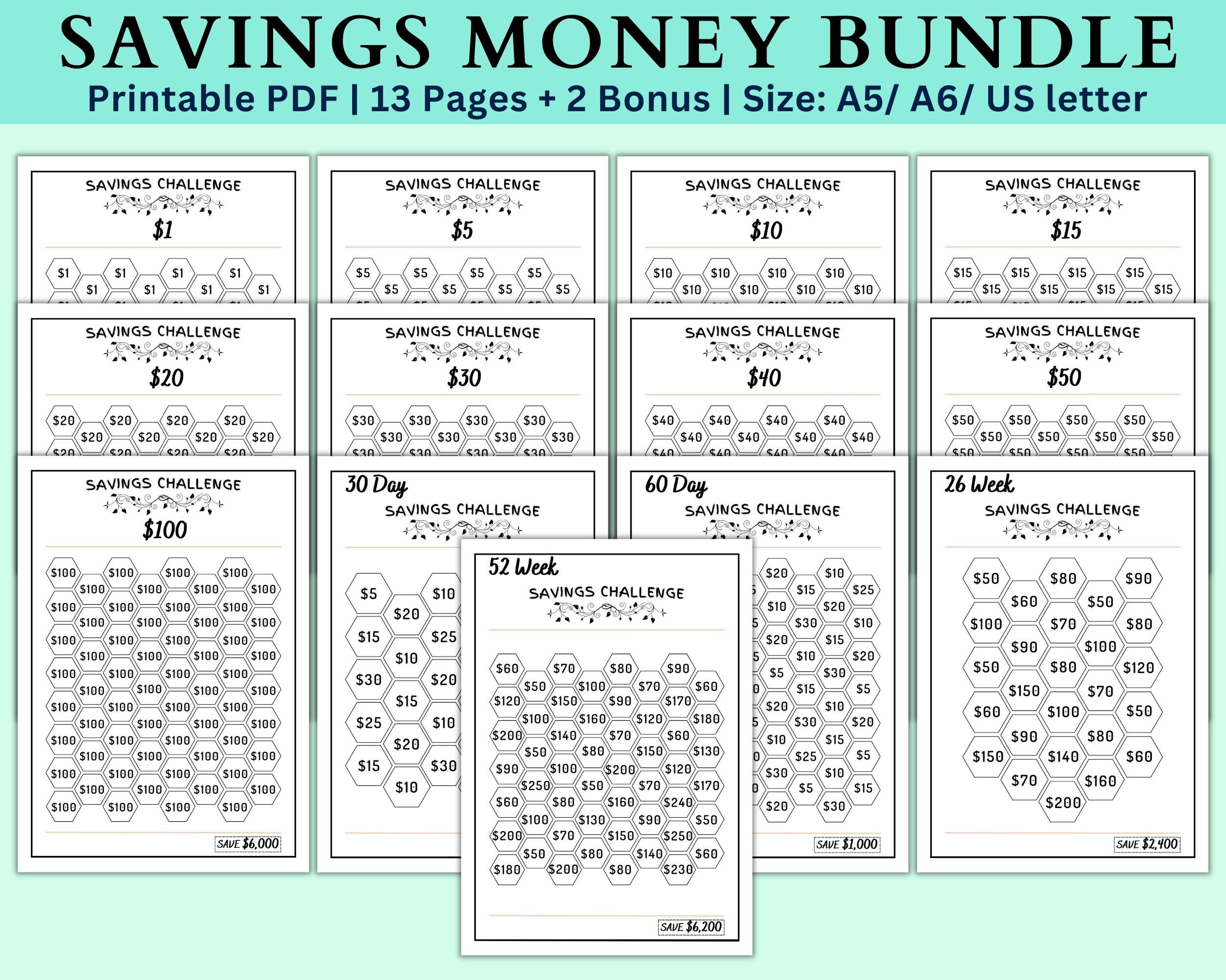 Mini Savings Challenge Printable Savings Money Challenge Saving Cash ...