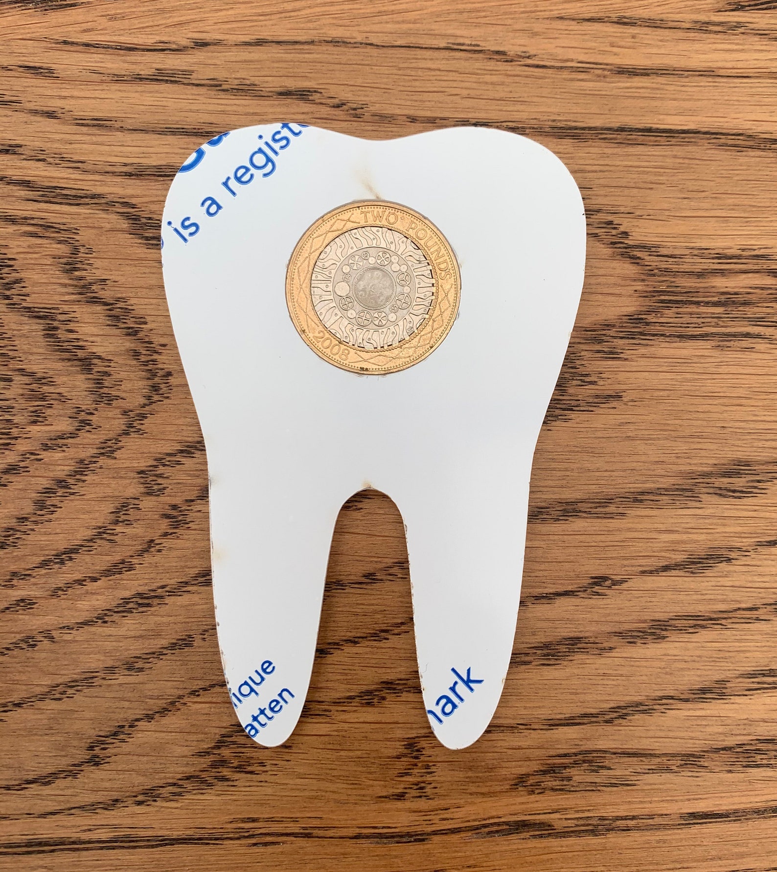 Tooth fairy coin holder blank one and two pound 3mm acrylic Etsy