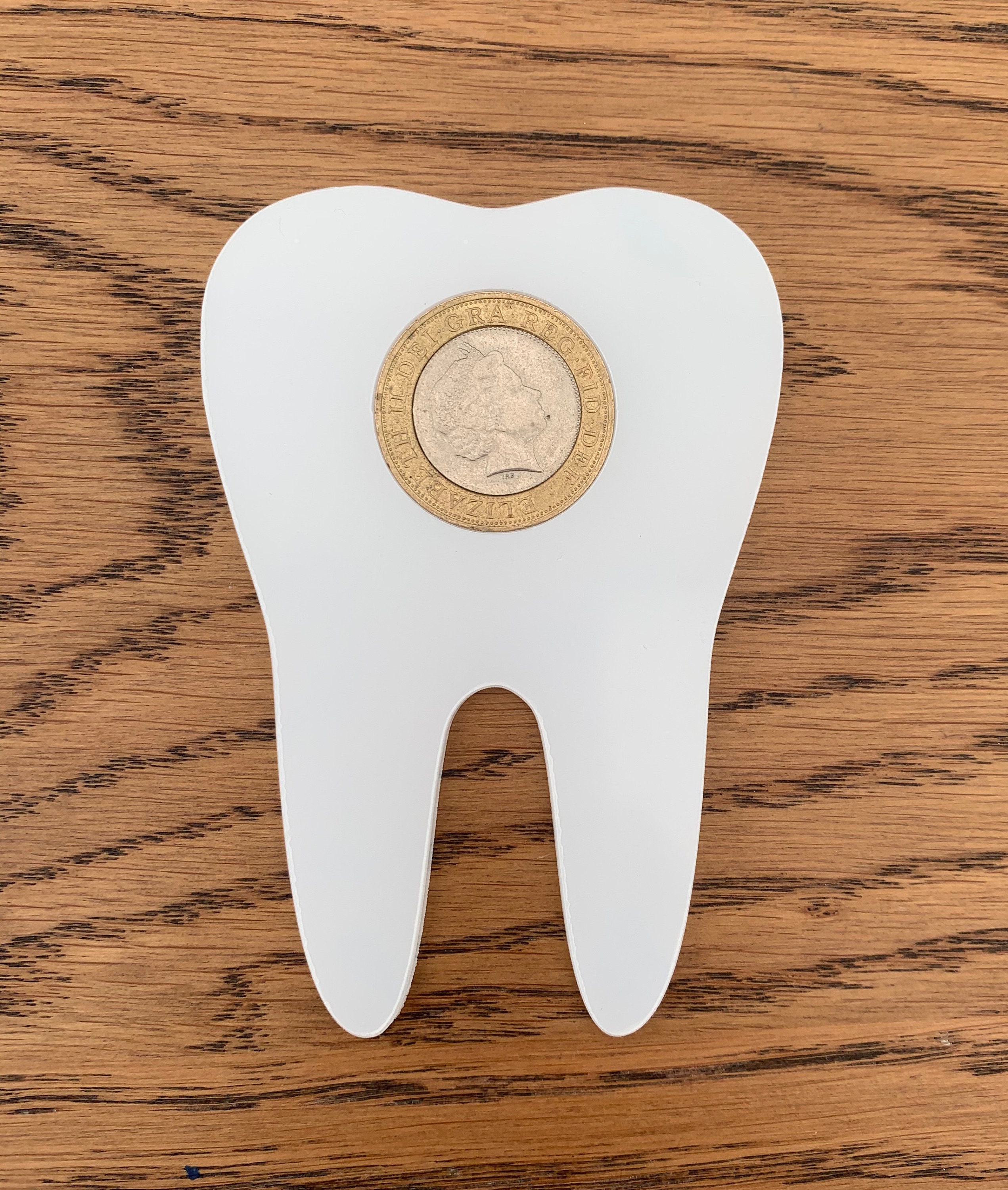 Tooth fairy coin holder blank one and two pound 3mm acrylic Etsy