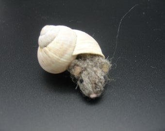 felted mouse in a snail shell