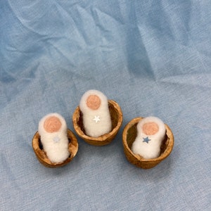 May include: Three white felt baby dolls with embroidered faces and silver star accents are nestled in three half walnut shells.