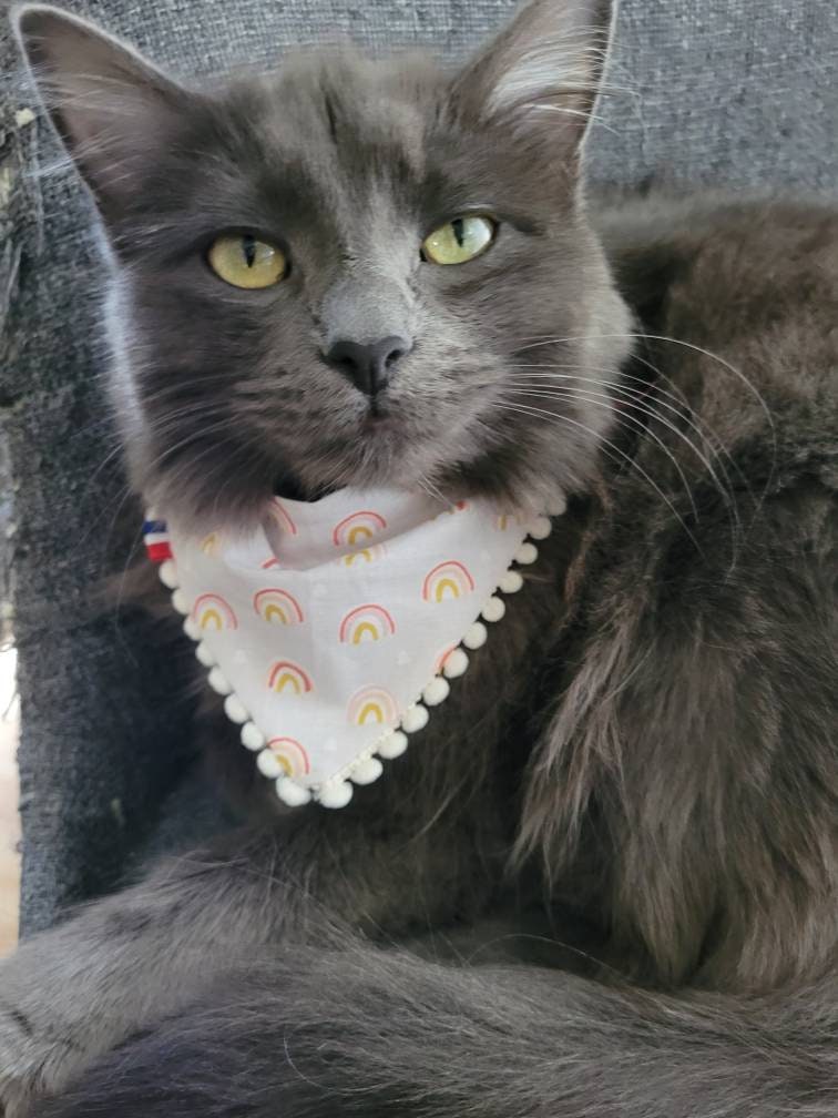 Bandana Arc en Ciel Pour Chat