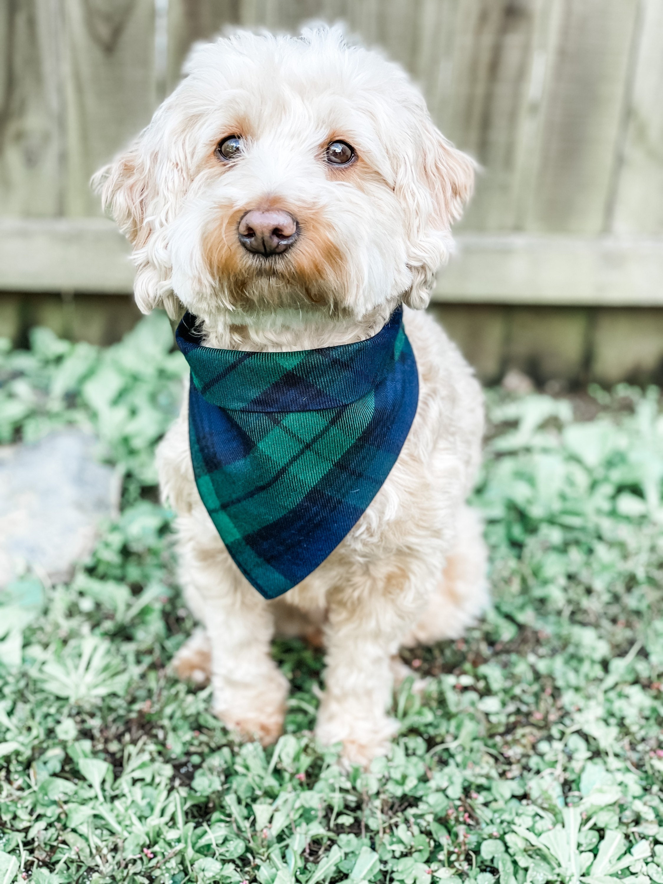 Green plaid cheap bandana