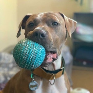 Super Chewer Crochet dog ball: Amigurumi dog ball toy with squeaker, Stuffed dog ball, Fun dog toy, Fetching dog ball