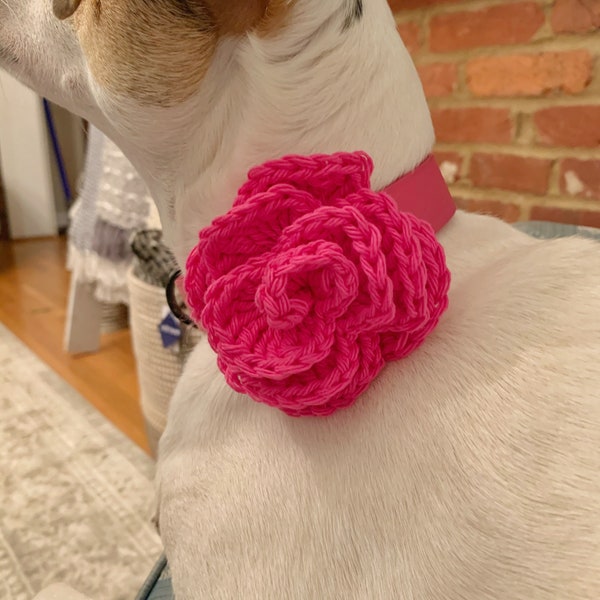 Crochet Dog Collar Etsy