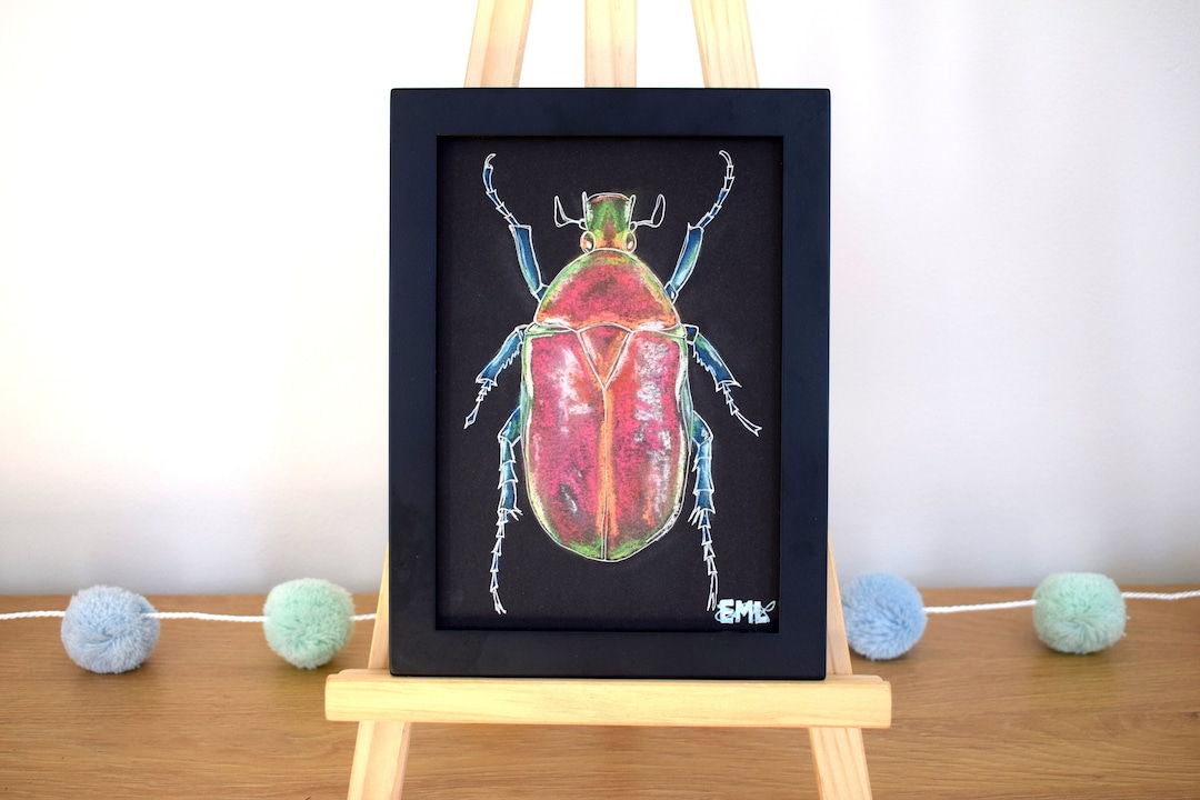 Framed Original Beetle Art, Original Pastel Beetle Drawing, Insect Art