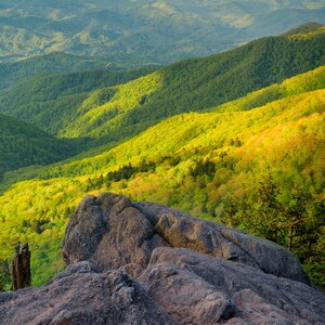 May include: A panoramic view of a mountain range with a rocky outcropping in the foreground. The mountains are covered in lush green trees with patches of yellow foliage. The sky is a light blue with white clouds.