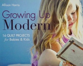 Growing Up Modern by Allison Harris, Stash Books/C&T, 2013; Previously Owned