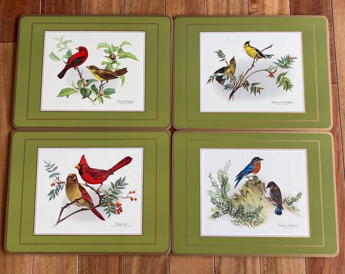 Pimpernel Acrylic Song Bird Placemats Complete Set Etsy
