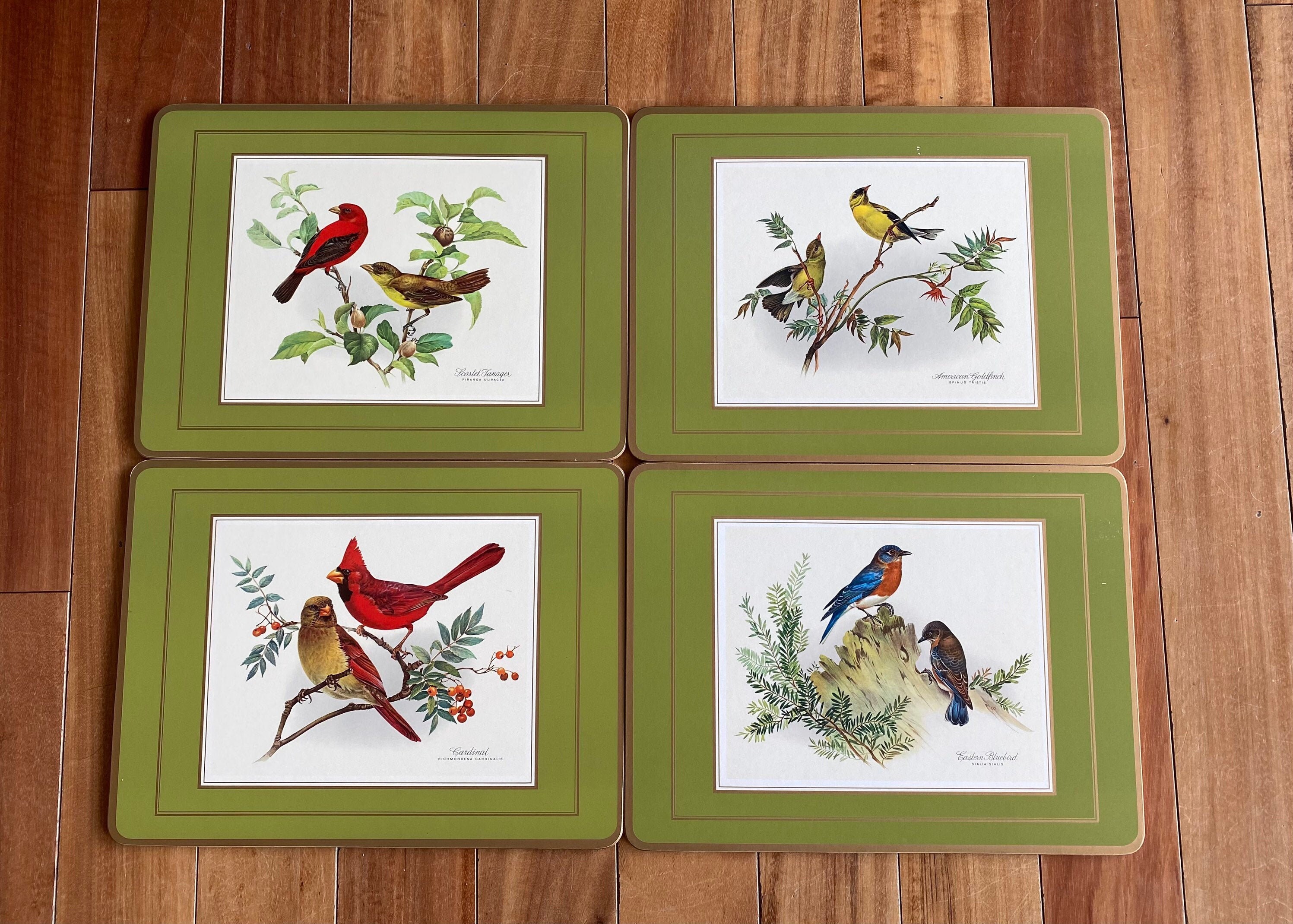Pimpernel Acrylic Song Bird Placemats Complete set Etsy
