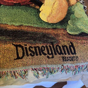 K&ouml;nnte beinhalten: Eine gewebte Disneyland Resort-Decke mit einem farbenfrohen Bild von Mickey Mouse und anderen Figuren. Die Decke hat einen Fransenrand mit mehreren Farben und den schwarzen Worten "Disneyland Resort".