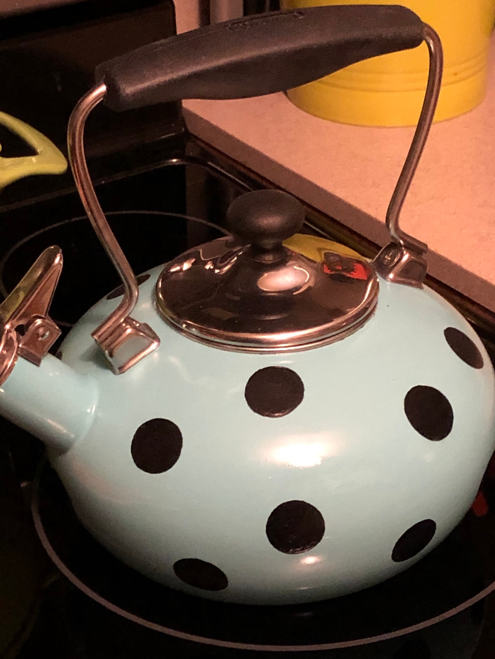 Polka Dot Kettle/Farmhouse kettle/Kitchen stove decor/Kate Etsy