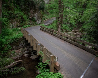 Springtime in Great Smoky Mountains