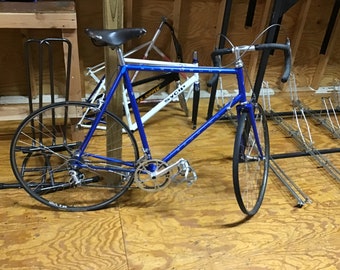 1986 Schwinn Paramount Nuevo Record