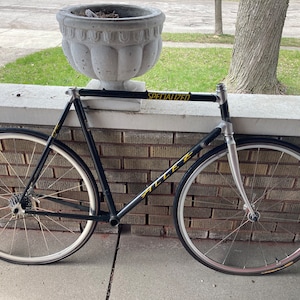 Specialized Allez Epic Frameset 56cm