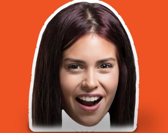 custom cut out pillow