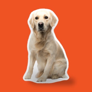 Personalized Dog Pet Shaped Pillow Custom Designed Cutout to LifeLike Realistic Photo Cushions. Pillows Cut & Sewn handmade in the USA