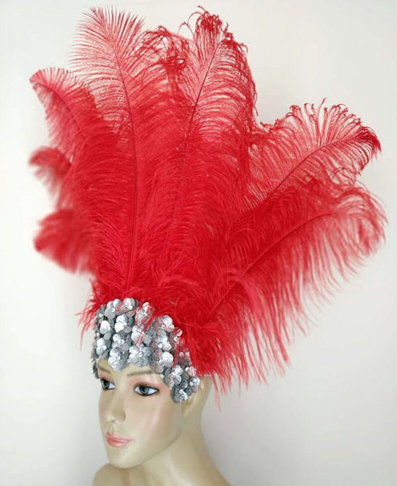 samba feathers
