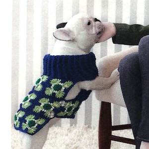 Puede incluir: Un bulldog francés blanco con un suéter de perro tejido a crochet azul y verde. Una mujer está sentada en una silla con una bufanda y un bolso a juego tejidos a crochet azul y verde.