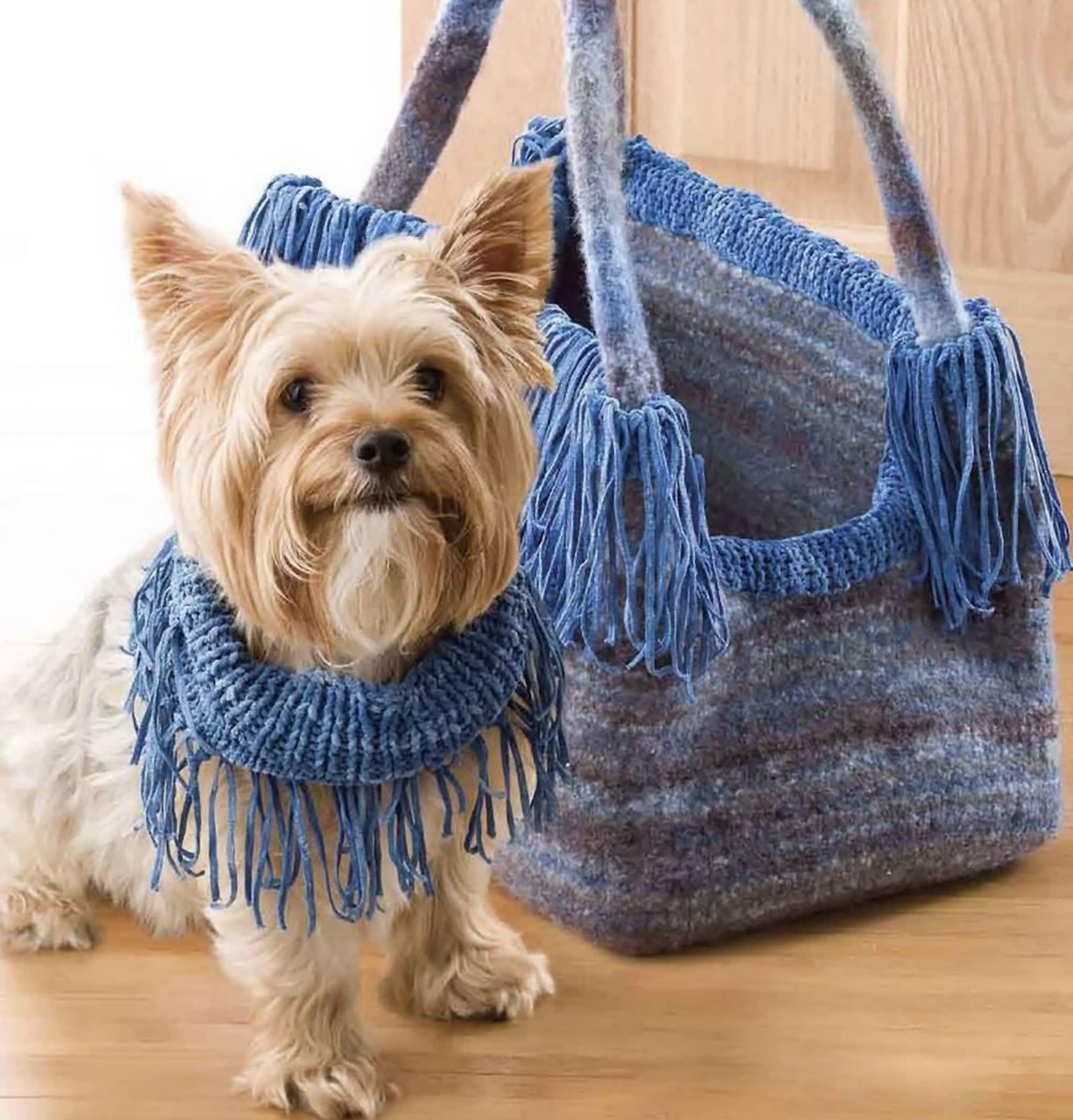 Blue carrier dog hotsell