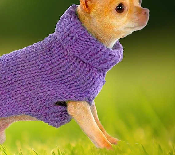Small Dog Sweater Easy Knitting Pattern Simple Turtleneck Small