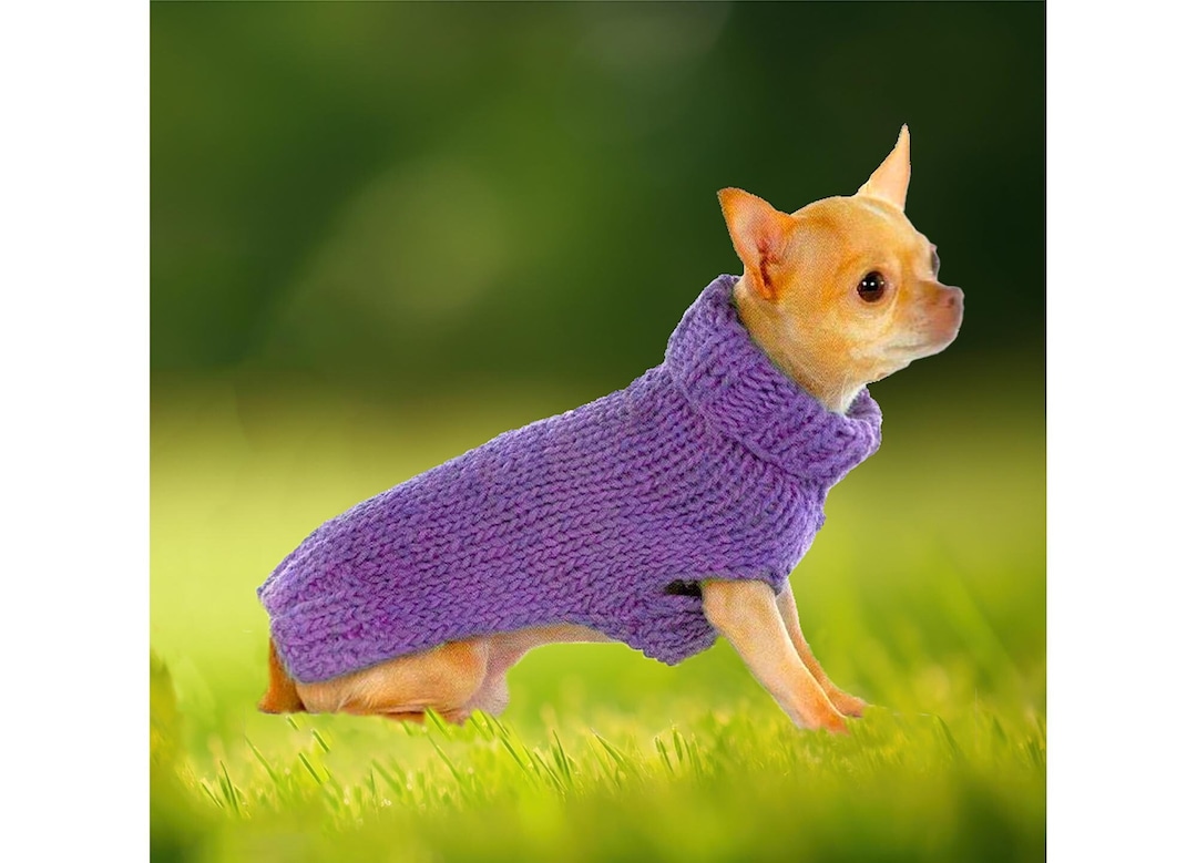 Small Dog Sweater Easy Knitting Pattern | Simple Turtleneck Small ...