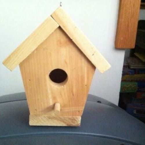 Bird House Etsy