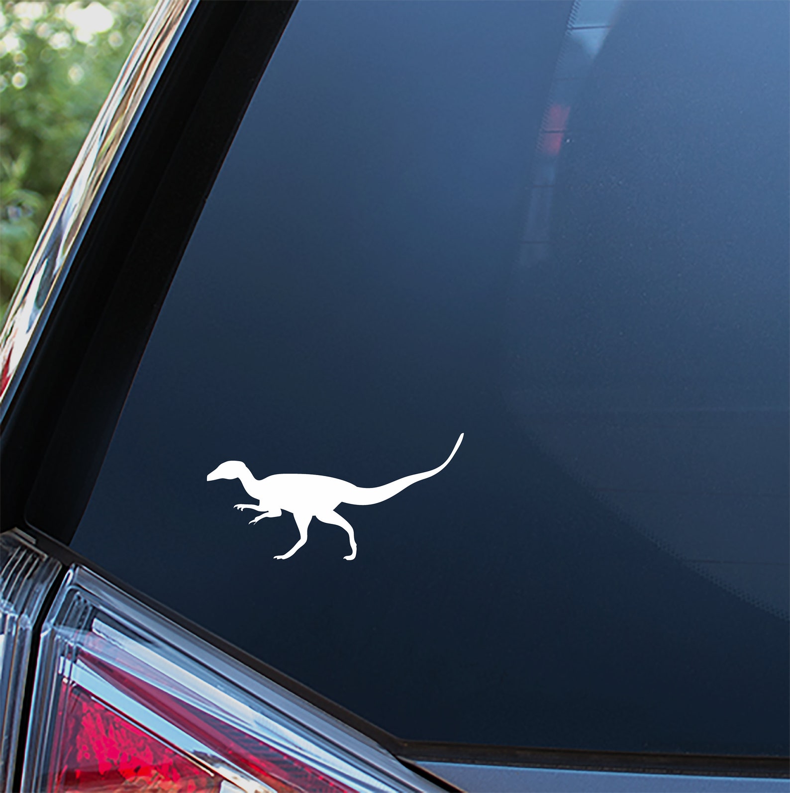 Raptor Sticker for Car Window Bumper or Laptop. Free Etsy