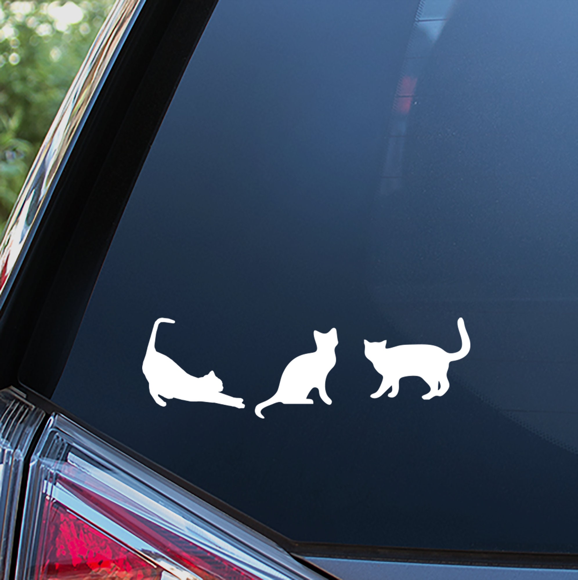 Pegatina de Familia para Coche Set 11X Mujer y Gatos